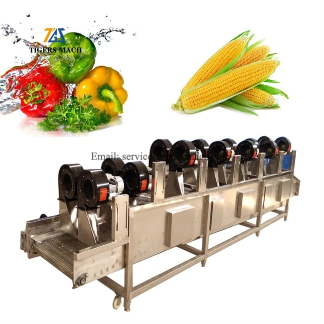 Automatic Blowing Machine