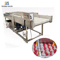 Hedelmien ruiskutuspuhdistuskone