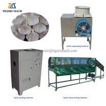 Kuoritun valkosipulin prosessilinja