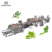 Vihannesten pesulinja