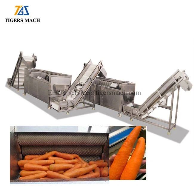 Carrot Washing Machine suppliers