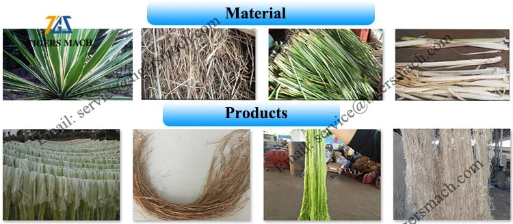 Pineapple Leaf Extracting Machine Price Pineapple Leaf Extracting Machine Price
